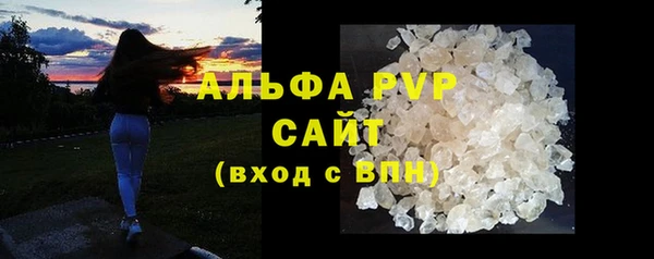 шишки Каменка