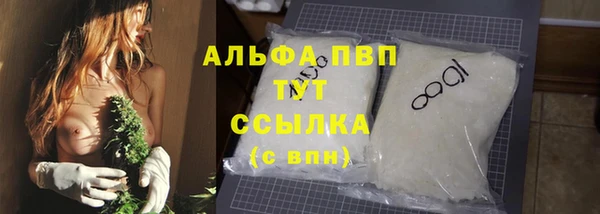 шишки Каменка