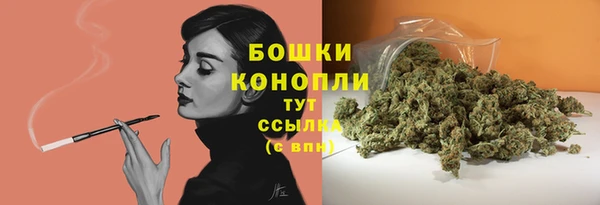 герыч Каменногорск