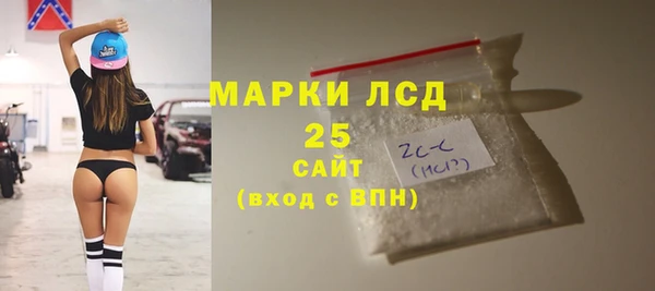 герыч Каменногорск