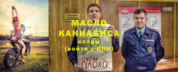шишки Каменка