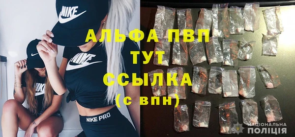 прущие крисы Иннополис