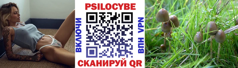 Псилоцибиновые грибы MAGIC MUSHROOMS  Кремёнки 